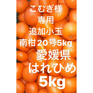 こむぎ様　愛媛県産　はれひめ　柑橘　5kg(フルーツ)