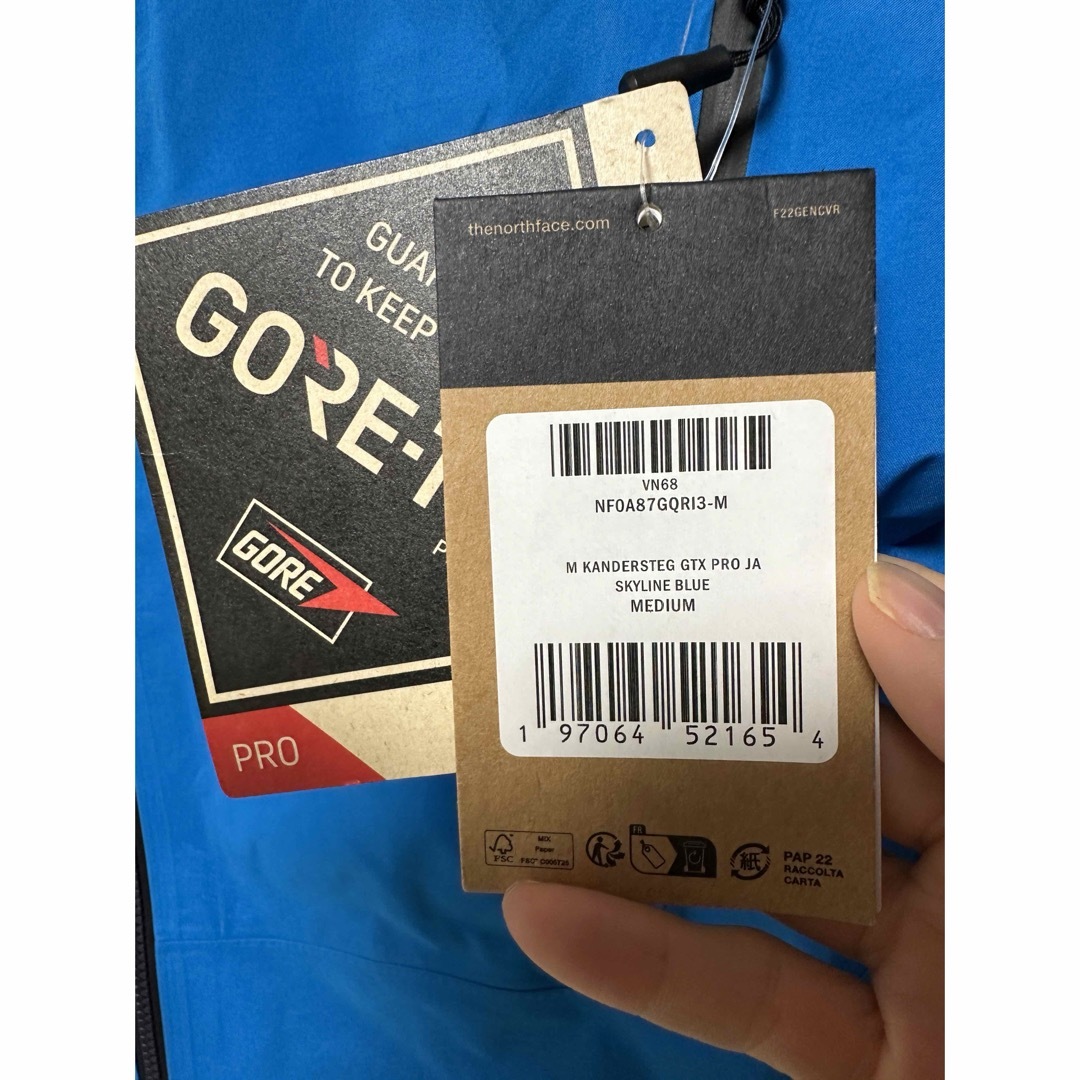 THE NORTH FACE(ザノースフェイス)のThe north face Kandersteg GORE-TEX® Pro。 メンズのジャケット/アウター(マウンテンパーカー)の商品写真