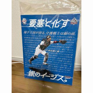 サイタマセイブライオンズ(埼玉西武ライオンズ)の炭谷銀仁朗、キャンバス(スポーツ選手)