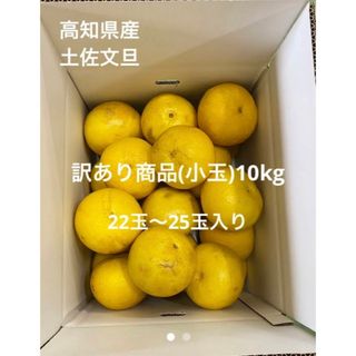 高知県産土佐文旦訳あり商品(小玉)10kg(フルーツ)