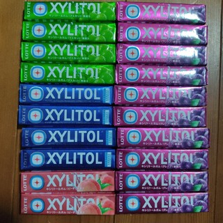 新品　キシリトールガム　20個　XYLITOL(菓子/デザート)