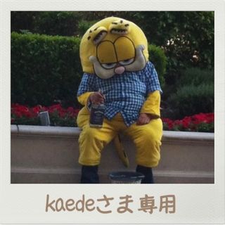 kaedeさま　専用です(アメコミ)