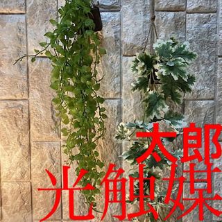 光触媒　人工観葉植物　ウォールグリーン　フェイク　ゼラニュームとエンジェルリーフ(壁掛けミラー)