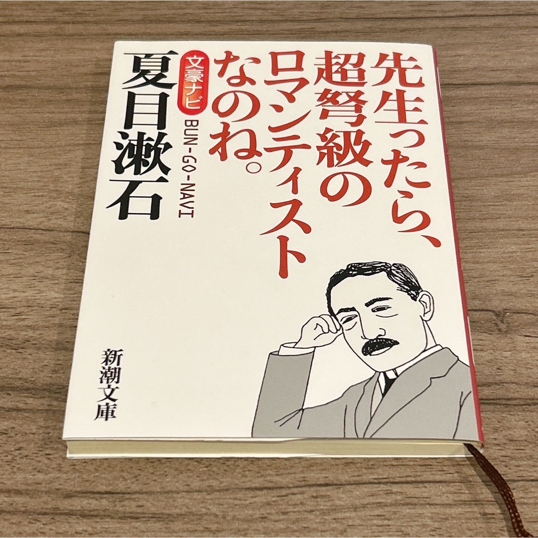 文豪ナビ 夏目漱石 エンタメ/ホビーの本(人文/社会)の商品写真