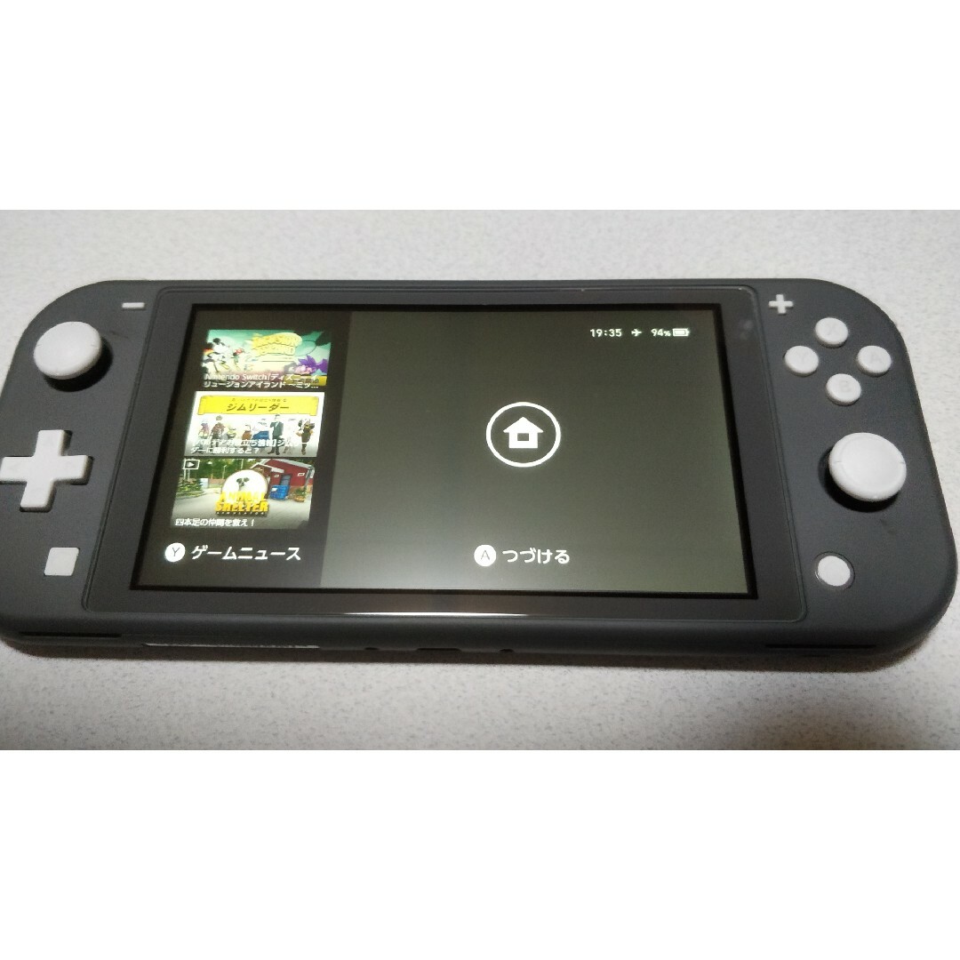 Nintendo Switch Lite グレー本体(充電器付) Nintendo Switch Lite グレー本体(充電器付)
