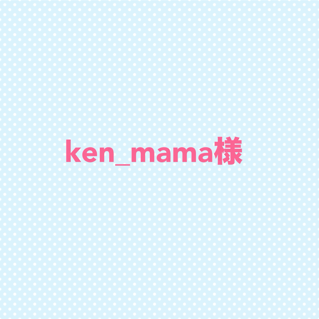 ken_mama様　専用 ハンドメイドの文具/ステーショナリー(その他)の商品写真