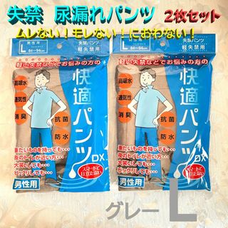 軽失禁 尿漏れパンツ 2枚セット メンズ ブリーフ 抗菌 消臭 グレー Lサイズ(トランクス)