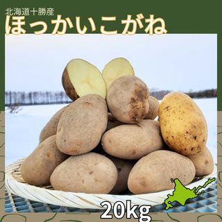 【備蓄】【20kg】北海道産　じゃがいも　ほっかいこがね(野菜)