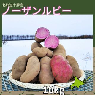 【備蓄】【10kg】北海道産　じゃがいも　ノーザンルビー(野菜)