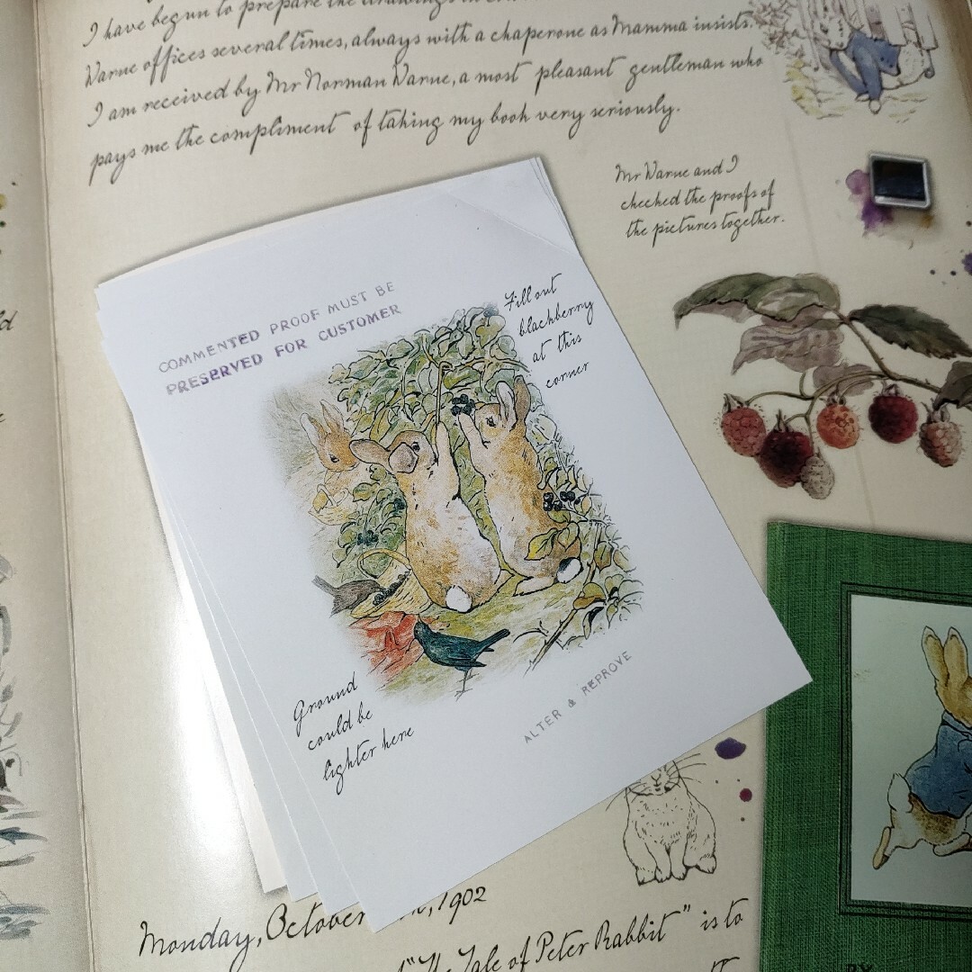 ピーター・ラビット　Beatrix Potter: a Journal　英語 エンタメ/ホビーの本(洋書)の商品写真