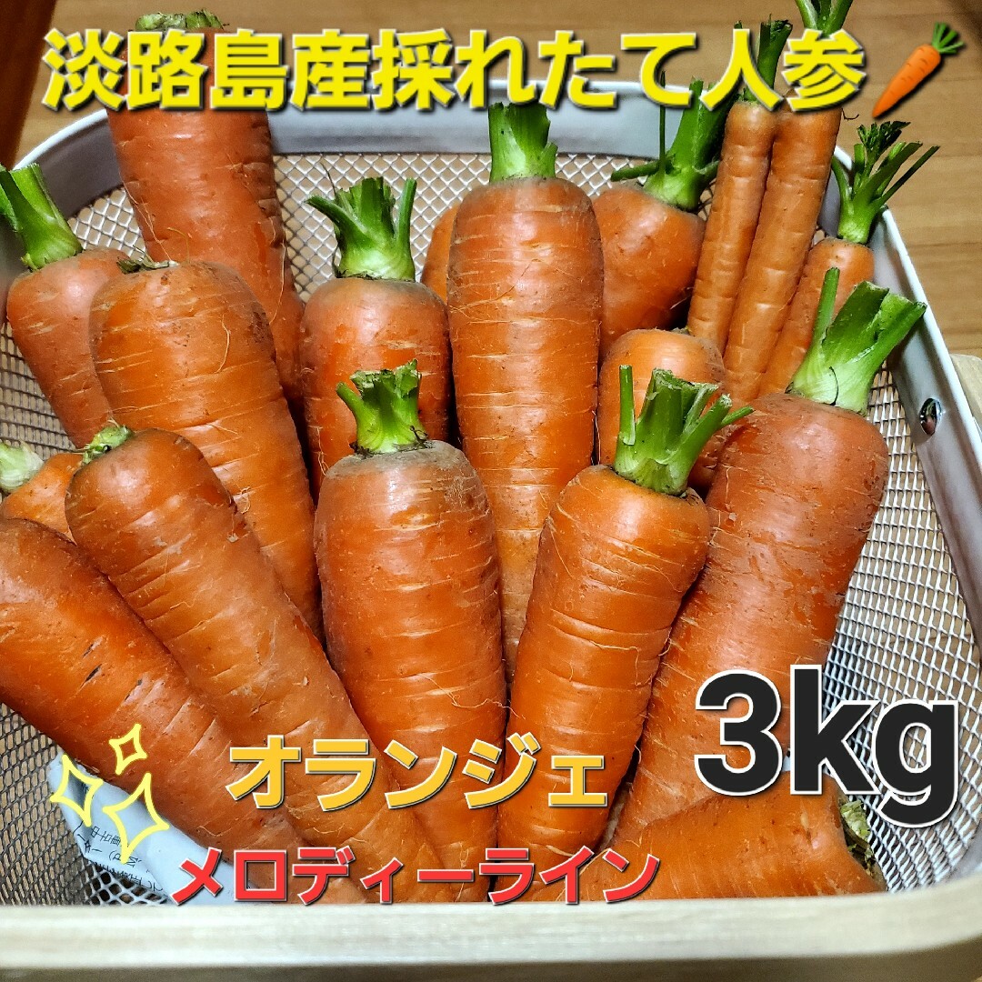 淡路島産採れたて人参🥕3kg 食品/飲料/酒の食品(野菜)の商品写真