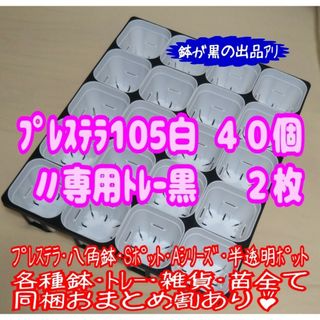 【スリット鉢】プレステラ105白40個＋専用システムトレー黒2枚 プラ鉢多肉植物(プランター)