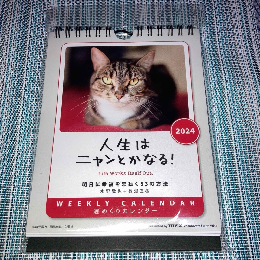 週めくりカレンダー　人生はニャンとかなる！明日に幸福をまねく53の方法 エンタメ/ホビーの本(住まい/暮らし/子育て)の商品写真