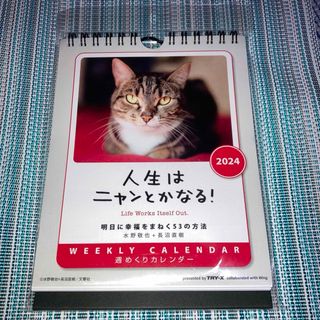 週めくりカレンダー　人生はニャンとかなる！明日に幸福をまねく53の方法(住まい/暮らし/子育て)