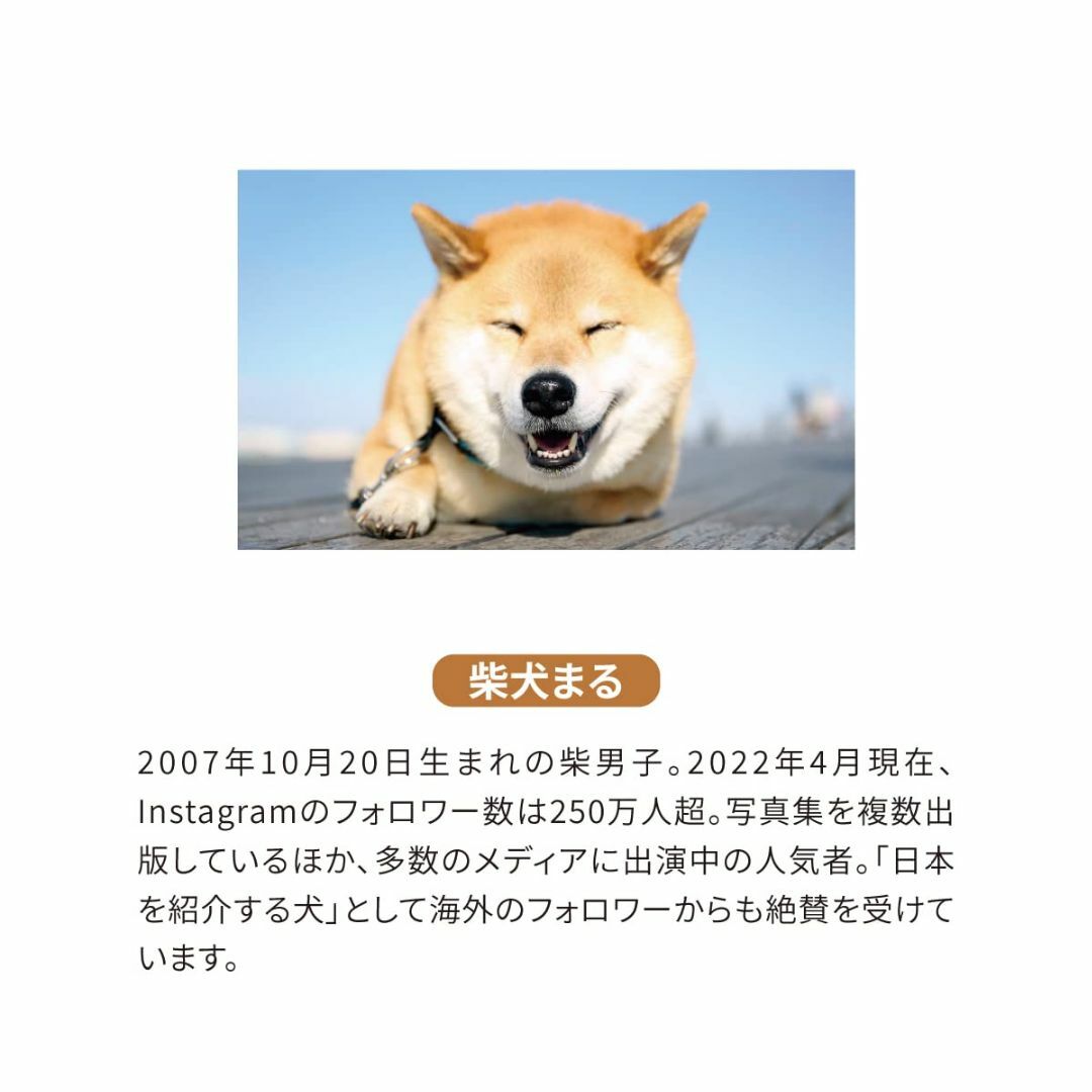 新日本カレンダー 2024年 カレンダー 壁掛け 柴犬まる 小 NK4008 その他のその他(その他)の商品写真