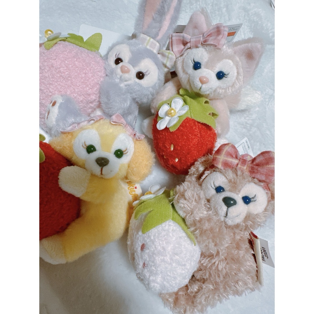 4点 ぬいぐるみバッジ ハートフェルト ストロベリーギフト 4点 ぬいぐるみバッジ ハートフェルト ストロベリーギフト
