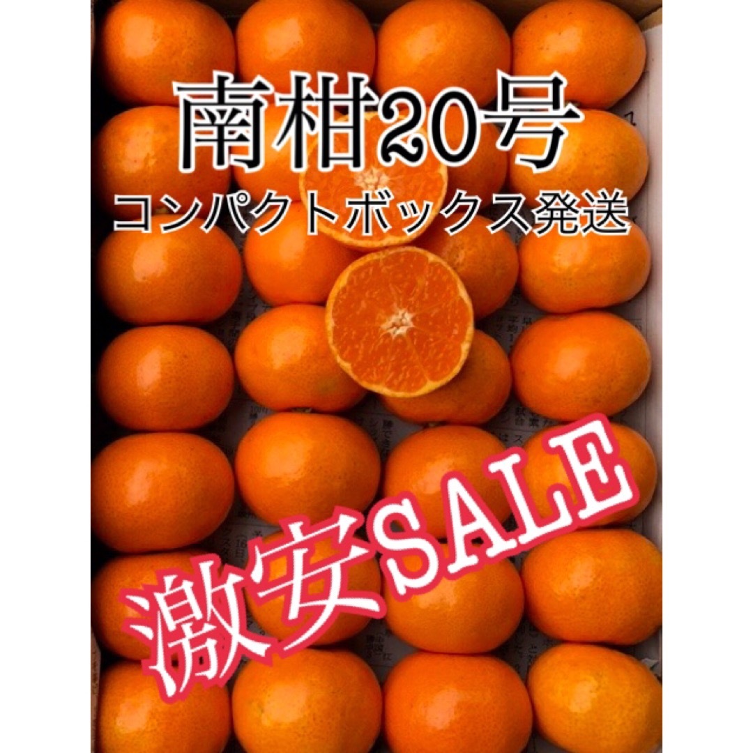 コンパクトボックス発送  南柑20号 愛媛県産 柑橘 みかん 果物 ミカン 甘い 食品/飲料/酒の食品(フルーツ)の商品写真