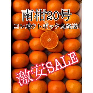 コンパクトボックス発送  南柑20号 愛媛県産 柑橘 みかん 果物 ミカン 甘い(フルーツ)