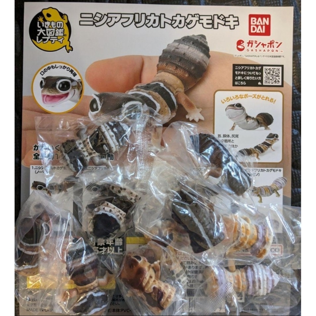 BANDAI(バンダイ)の全種セット【新品未使用】いきもの大図鑑レプティ ニシアフリカトカゲモドキ エンタメ/ホビーのフィギュア(その他)の商品写真