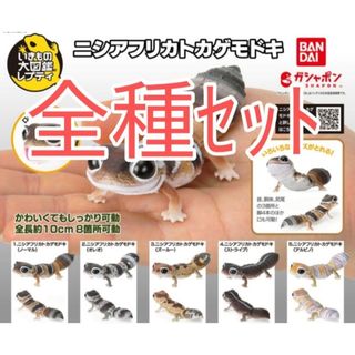 バンダイ(BANDAI)の全種セット【新品未使用】いきもの大図鑑レプティ ニシアフリカトカゲモドキ(その他)