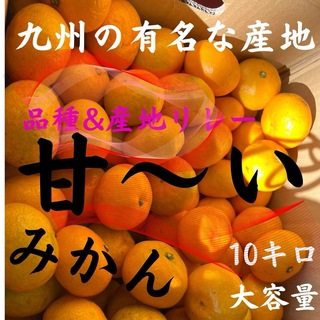 【甘いのが特徴です。】九州産　みかん　10キロ『甘いです』　九州産地&品種リレー(フルーツ)