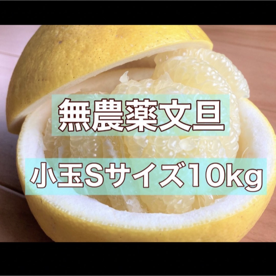 【自然栽培】高知県産文旦小玉Sサイズ10kg 食品/飲料/酒の食品(フルーツ)の商品写真