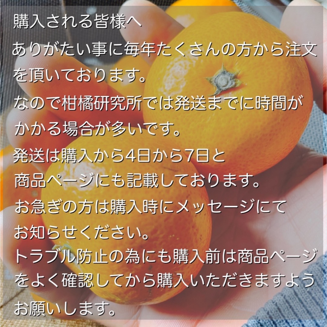 有田みかん(アリダミカン)の有田みかん　2キロ　蔵で熟成　5cmくらいの小玉　2sから3sくらい　晩生 食品/飲料/酒の食品(フルーツ)の商品写真