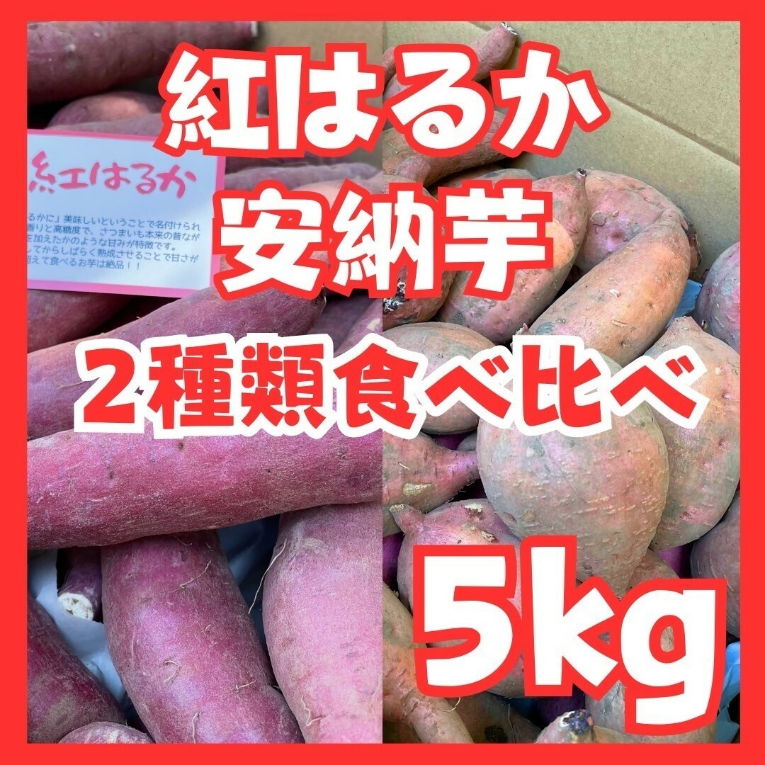 さつまいも紅はるか安納芋５kg 食品/飲料/酒の食品(野菜)の商品写真