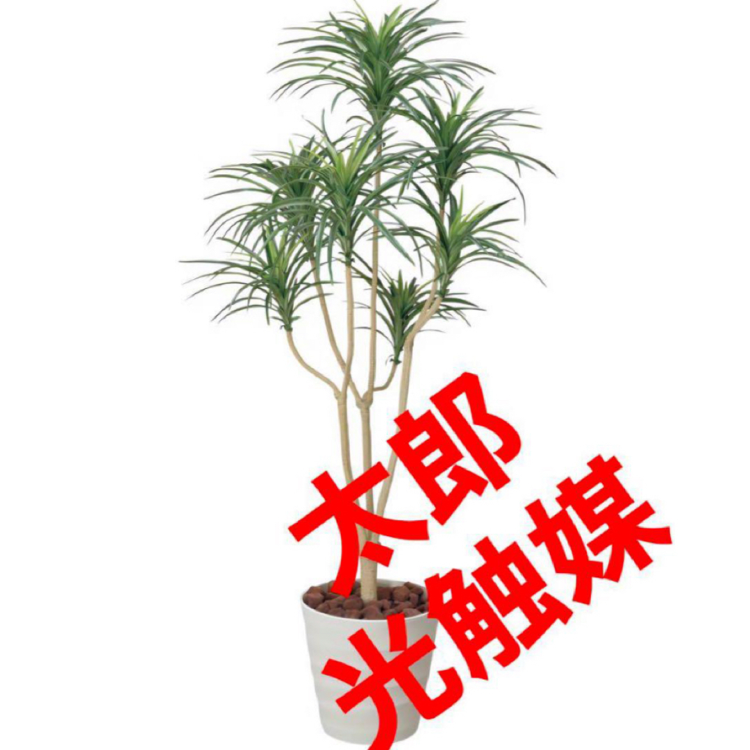 造花光触媒　人工観葉植物　ウォールグリーン　フェイクグリーン　ユッカ1.6