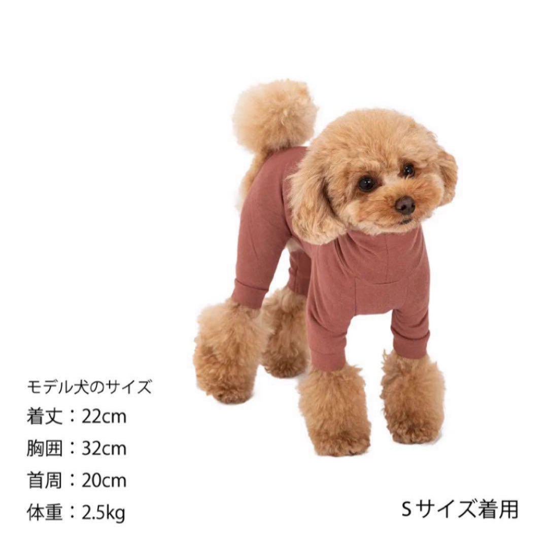 MANDARINE BROTHERS(マンダリンブラザーズ)のマンダリンブラザーズ  スキンタイトスーツ　犬用品　犬服　ペットグッズ その他のペット用品(犬)の商品写真