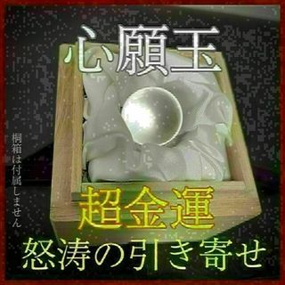 チューリップの球根 50球 値下げ不可 シール付きの通販 by たま｜ラクマ