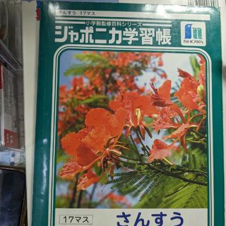 ショウワノート(ショウワノート)のショウワノート ジャポニカ学習帳 算数 17マス 1冊(ノート/メモ帳/ふせん)