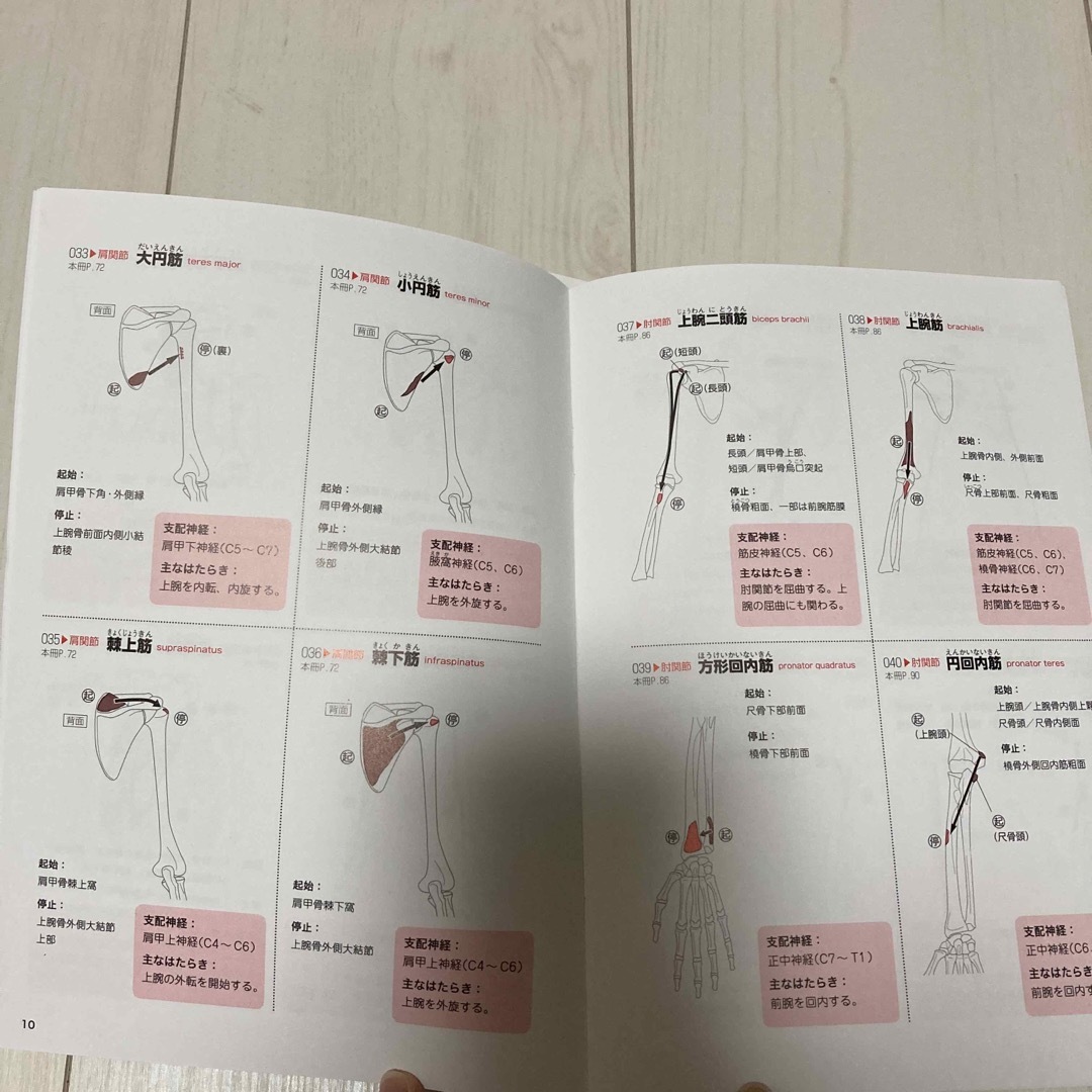 筋肉と関節しくみと動きが見える事典 エンタメ/ホビーの本(健康/医学)の商品写真