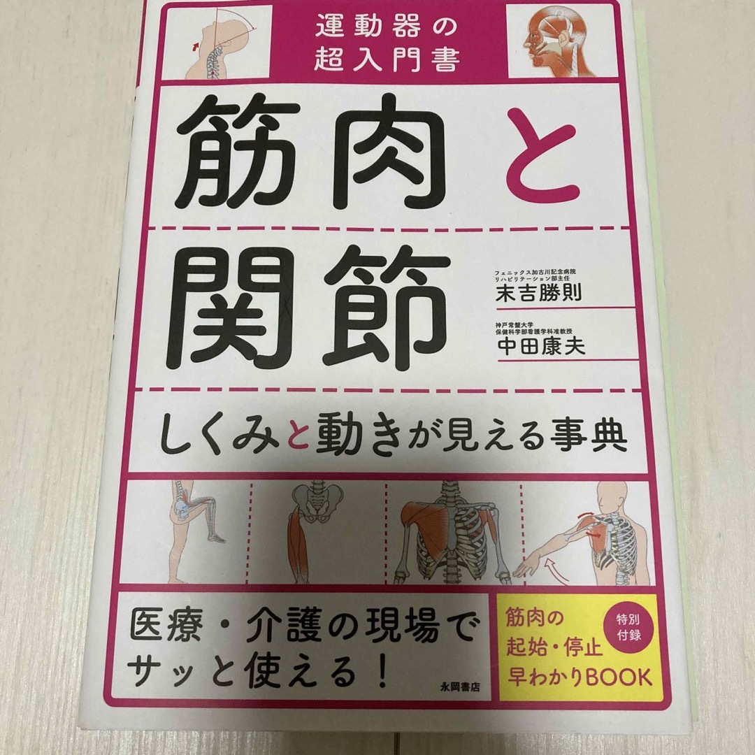 筋肉と関節しくみと動きが見える事典 エンタメ/ホビーの本(健康/医学)の商品写真