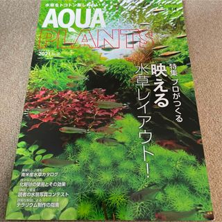 【送料込み】アクアプランツ　No.18 2021年 08月号 (ニュース/総合)