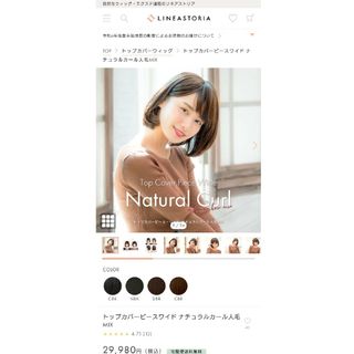 レオンカ美容室専売ウイッグ〈トップピース〉簡単装着〈展示品〉その他