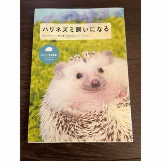 ハリネズミ飼いになる(住まい/暮らし/子育て)