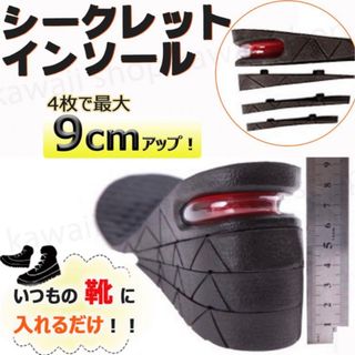 シークレットインソール(日用品/生活雑貨)