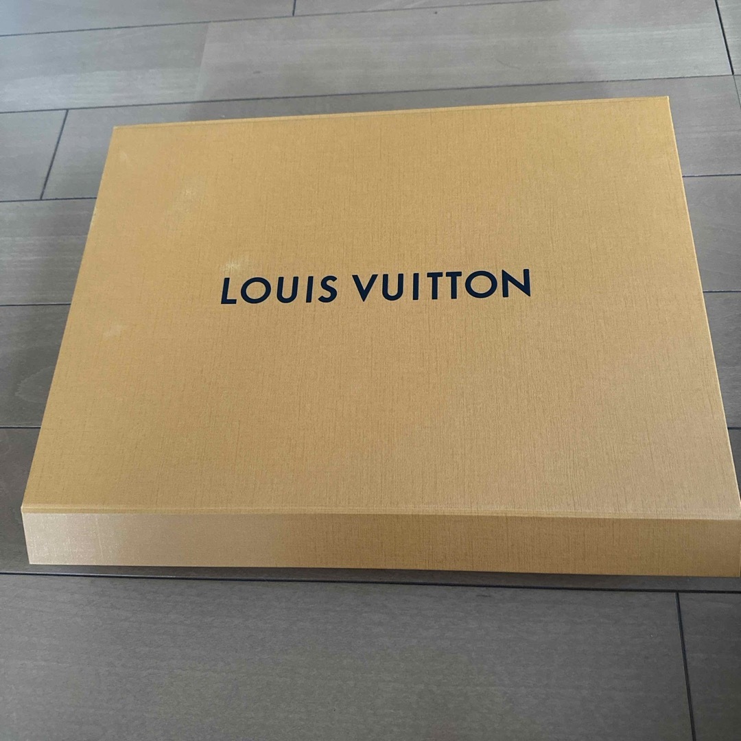 LOUIS VUITTON(ルイヴィトン)のルイヴィトン箱　 レディースのバッグ(ショップ袋)の商品写真