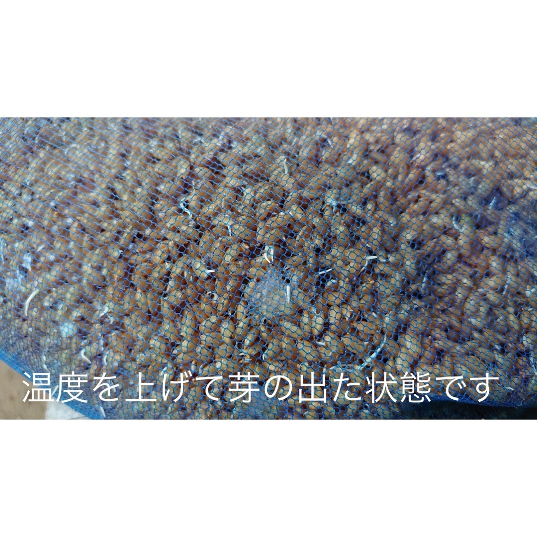 新潟の高級米 新之助 玄米 30㌔ 食品/飲料/酒の食品(米/穀物)の商品写真