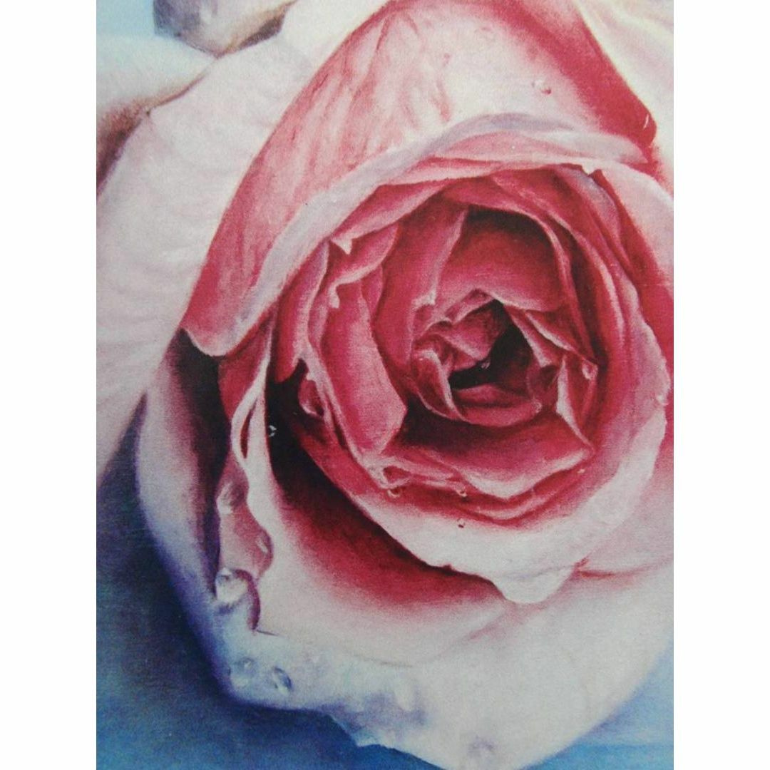 塩崎敬子【白いバラ、薔薇】希少画集画、状態良好、新品高級額装付