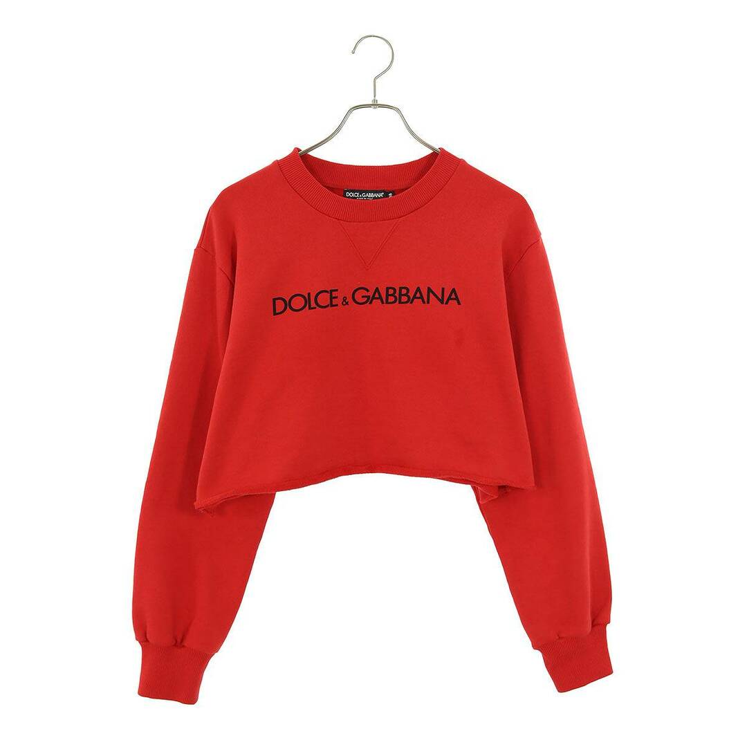 DOLCE&GABBANA(ドルチェアンドガッバーナ)のドルチェアンドガッバーナ  F9Q53T G7H4N ロゴプリントスウェット レディース 38 レディースのトップス(トレーナー/スウェット)の商品写真