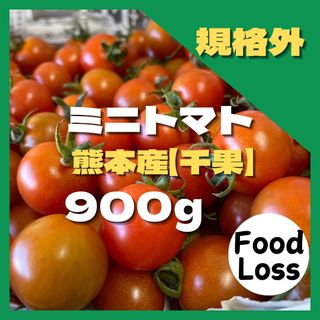 ミニトマト　950円  フードロス　野菜　熊本産　規格外　訳あり 安い　ミネラル(野菜)