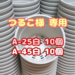 プラ鉢【A-25】10個 他 スリット鉢 丸 プレステラ 多肉植物(プランター)