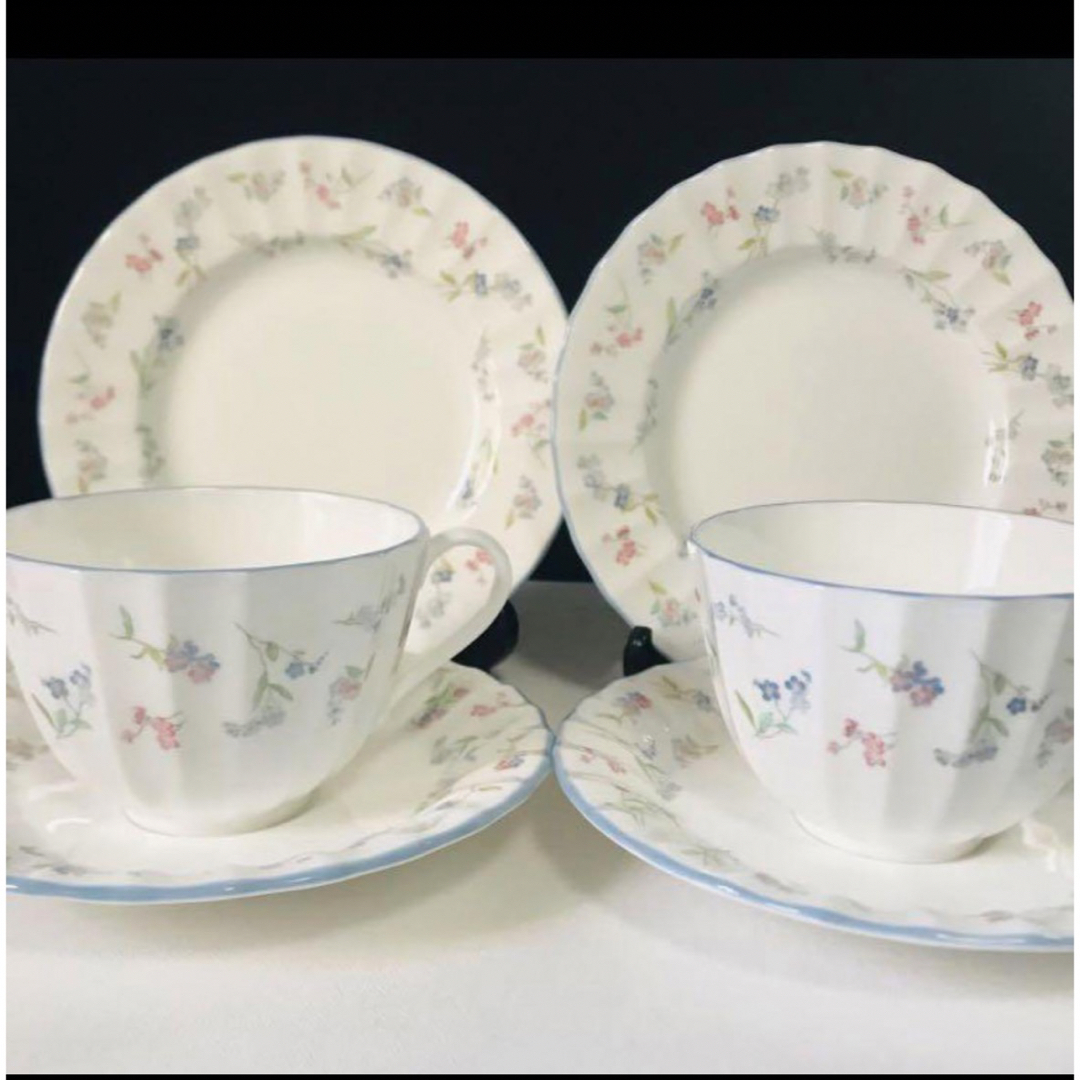 Royal Worcester(ロイヤルウースター)のロイヤルウースター　勿忘草　２客セット インテリア/住まい/日用品のキッチン/食器(食器)の商品写真