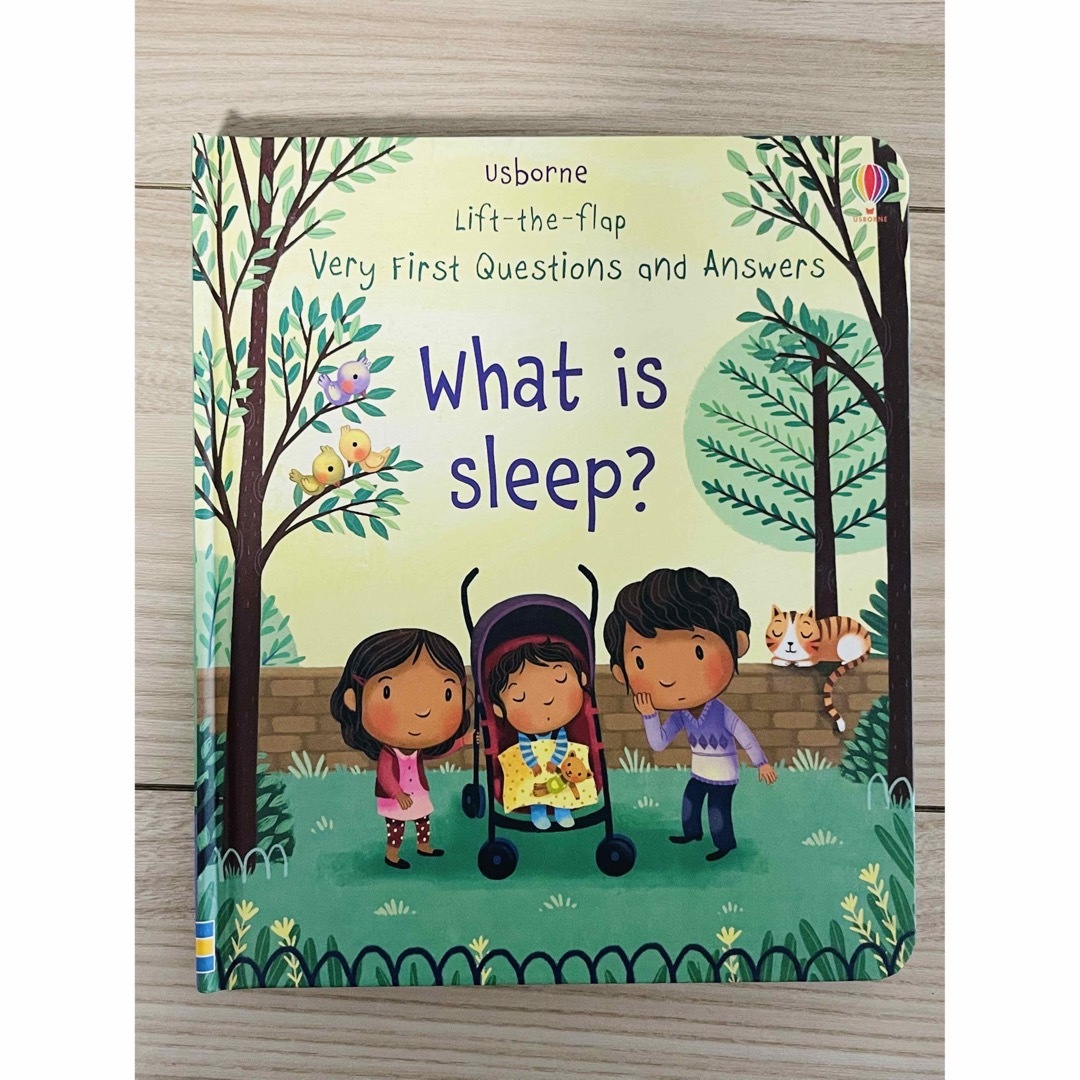 英語絵本　仕掛け絵本　usborne what is sleep エンタメ/ホビーの本(洋書)の商品写真