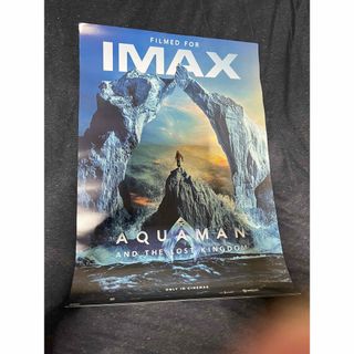 ジェイソンモモア　アクアマン失われた王国　IMAX 非売品ポスター(印刷物)