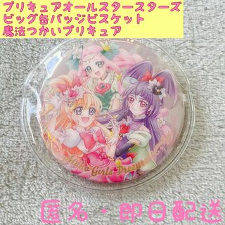 プリキュア BIG缶バッジ ビスケット 魔法つかいプリキュア 10個セットコミック/アニメグッズ