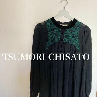 ツモリチサト(TSUMORI CHISATO)のTSUMORI CHISATO　ツモリチサト　刺しゅう　ワンピース(ミニワンピース)