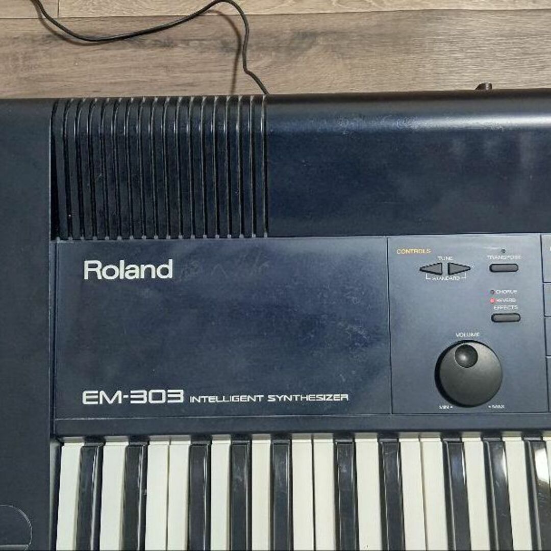 Roland(ローランド)のRoland シンセサイザー EM-303 楽器の鍵盤楽器(キーボード/シンセサイザー)の商品写真